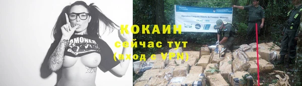 бошки Инта