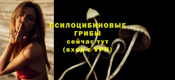 альфа пвп Иннополис