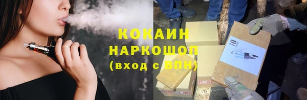 бошки Инта