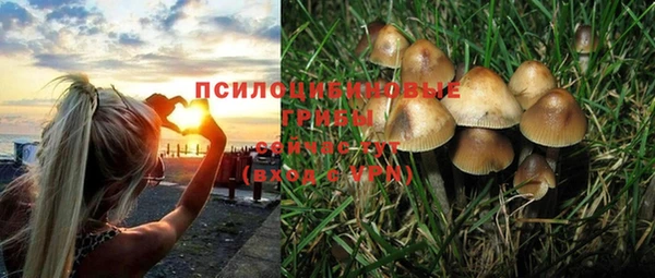 не бодяженный Инсар