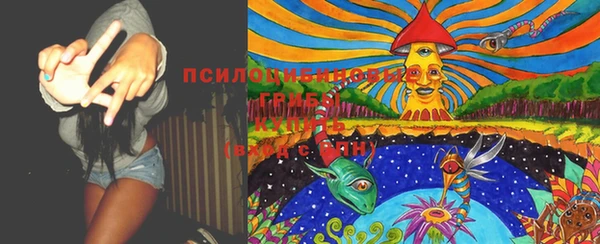 бошки Инта