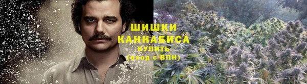 не бодяженный Инсар