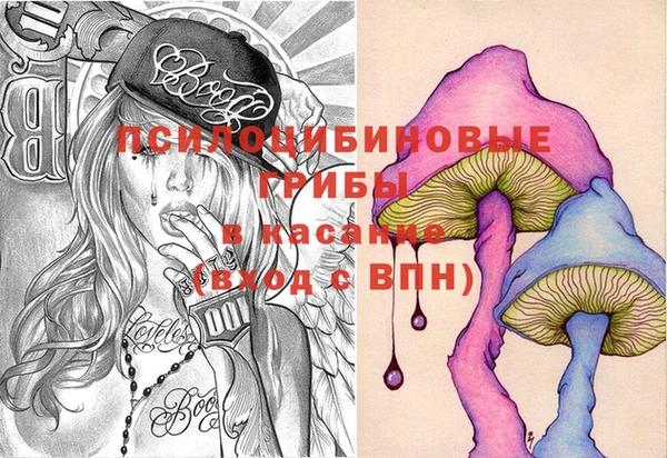 не бодяженный Инсар