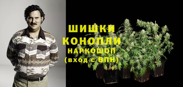 бошки Инта