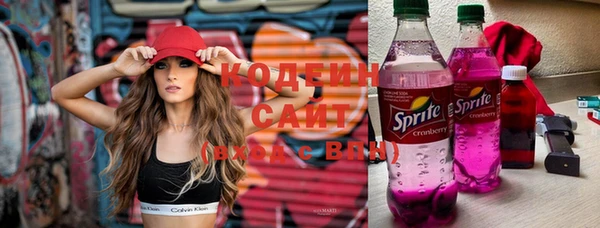 бошки Инта