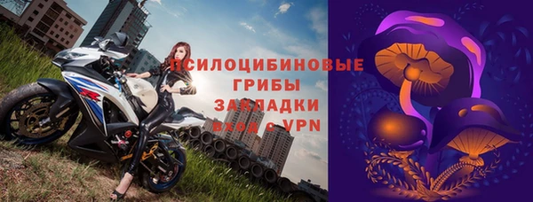 не бодяженный Инсар