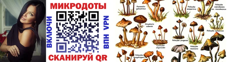 Галлюциногенные грибы мухоморы  Купить  Козельск 